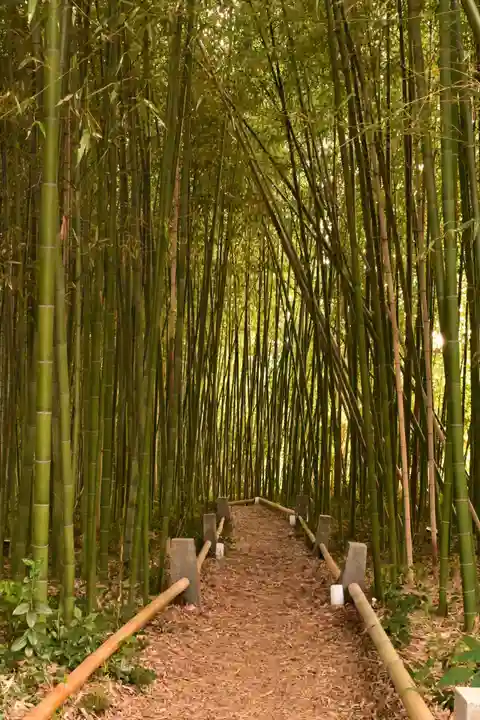 鹿王院(京都府)