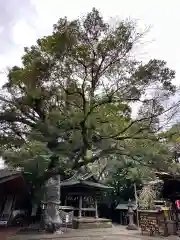 座間神社(神奈川県)