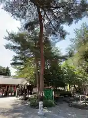 櫻木神社(千葉県)