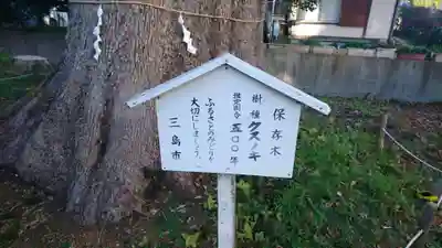 神明宮（御園）の自然