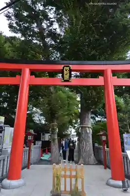 川越八幡宮(埼玉県)