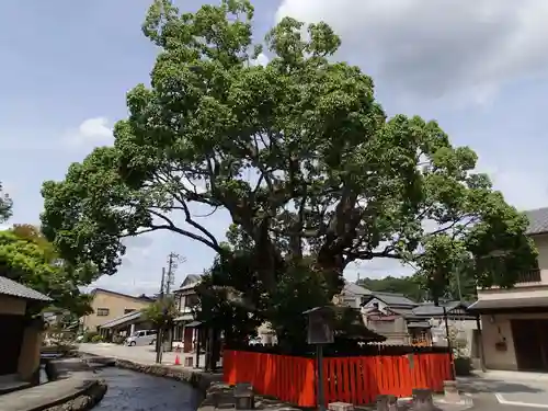 藤木社（賀茂別雷神社末社）のその他建物