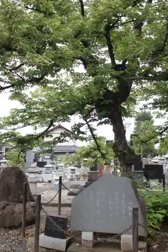 法善寺(山梨県)
