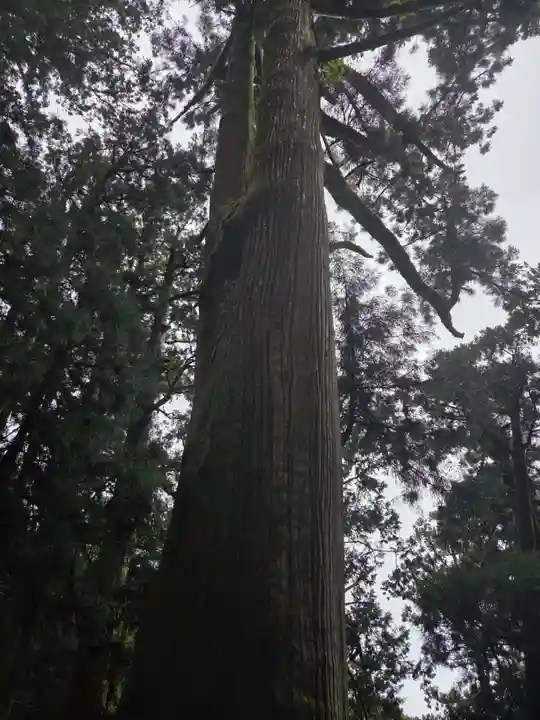 玉置神社の御朱印