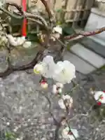 三田春日神社の自然