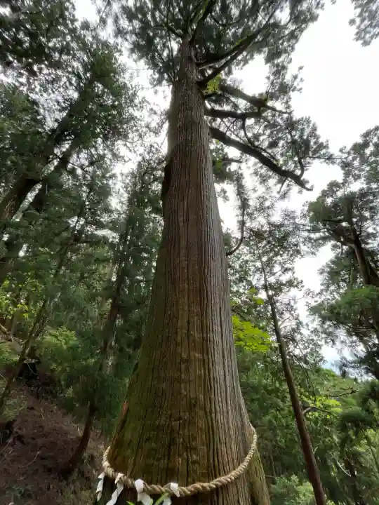 玉置神社(奈良県)
