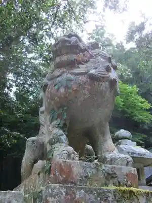 江文神社の狛犬