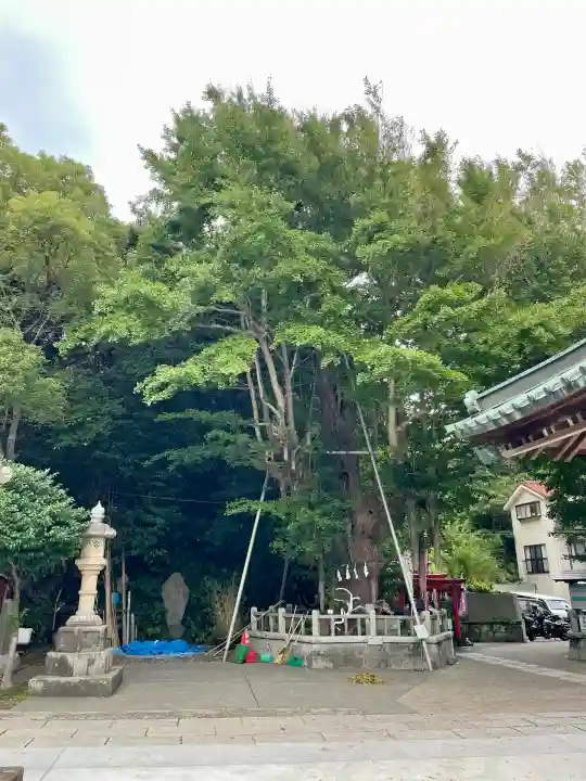 海南神社(神奈川県)