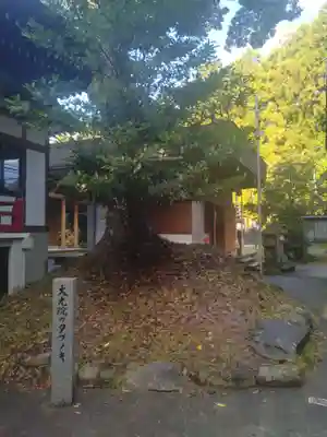 大光院(宮城県)