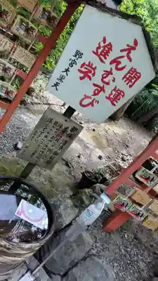 野宮神社(京都府)