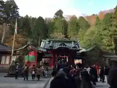 箱根神社の本殿