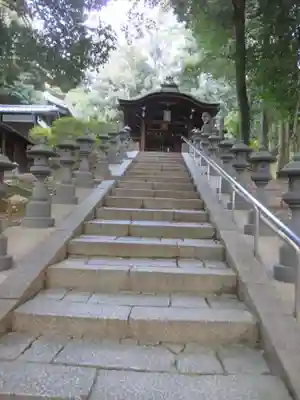 東福禅寺（東福寺）(京都府)