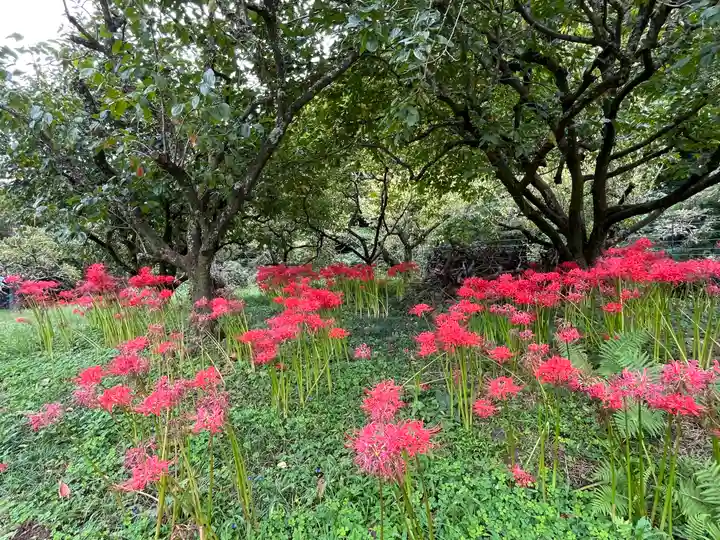 宝城坊(神奈川県)