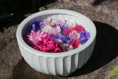 開成山大神宮の手水舎