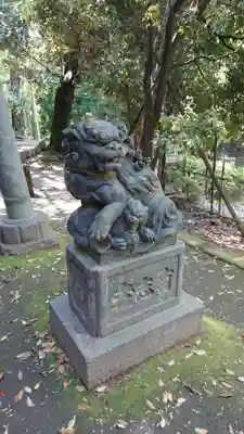 渋谷氷川神社の狛犬