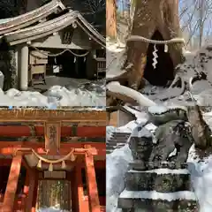 戸隠神社奥社(長野県)