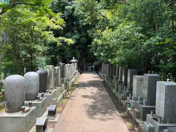 本土寺(千葉県)