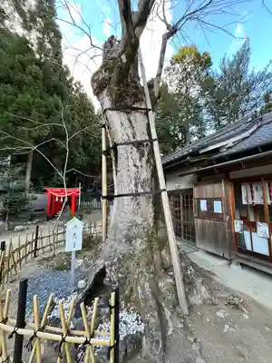 葛城一言主神社(奈良県)
