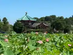 寛永寺不忍池弁天堂の建物その他