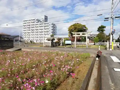 蛭子神社（出来町蛭子神社・天満神社・住吉神社）の鳥居