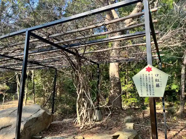 大麻比古神社の自然