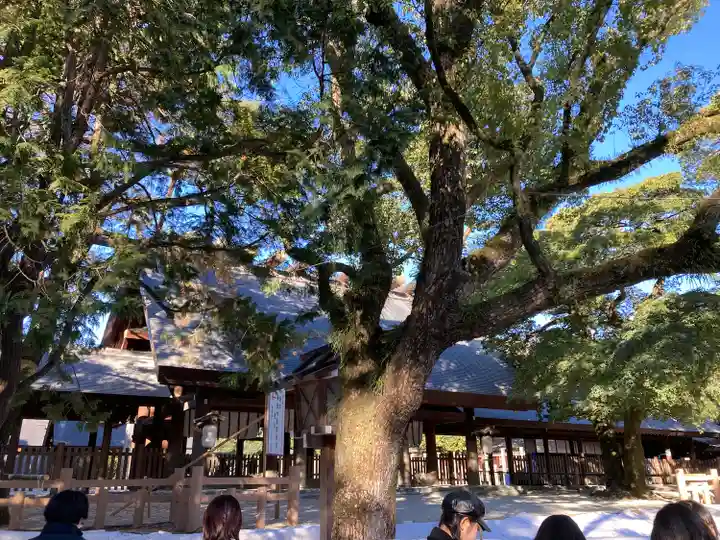 熱田神宮(愛知県)