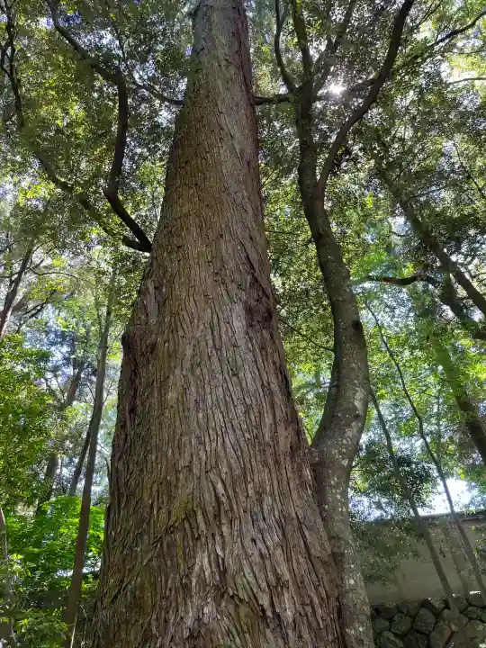 伊勢神宮内宮(皇大神宮)(三重県)