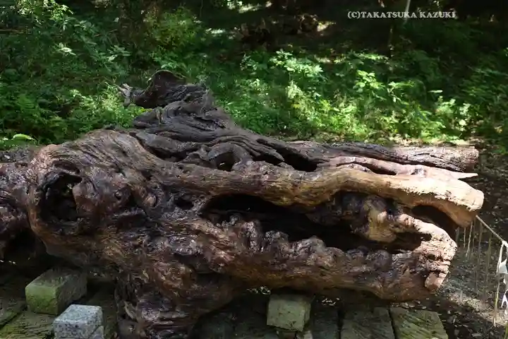 泉神社(茨城県)