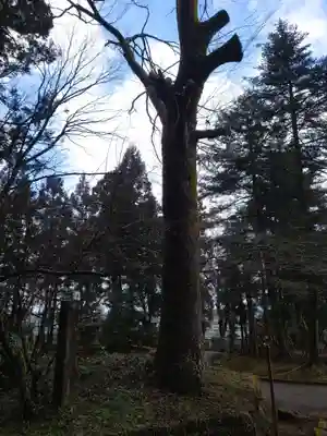 青海神社(新潟県)
