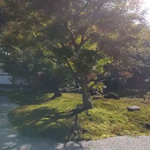 長壽寺（長寿寺）(神奈川県)