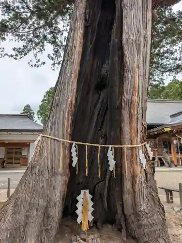 諏訪神社(岩手県)