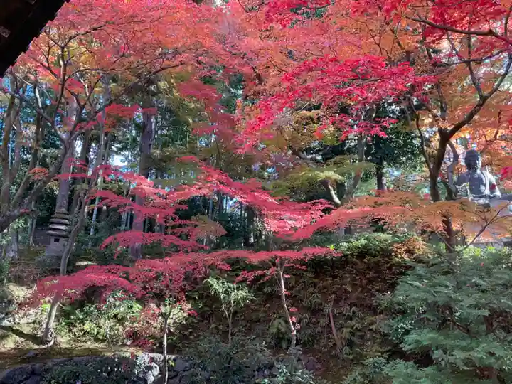 榮攝院(栄摂院)(京都府)