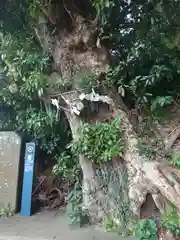 江島神社(神奈川県)