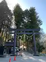 戸隠神社中社の鳥居