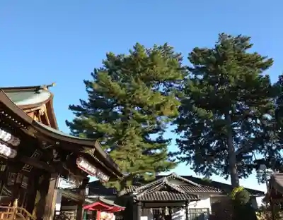 中野沼袋氷川神社(東京都)