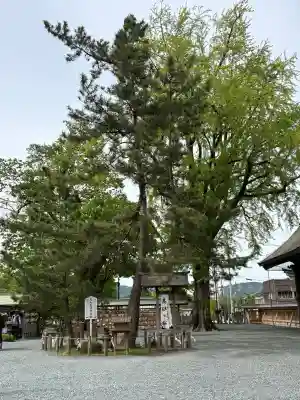阿蘇神社の{uncategorized: "未分類", other: "その他", undefined: "問題あり", building: "その他建物", grave: "お墓", sacred_gate: "鳥居", guardian: "狛犬", statue: "像", buddha: "仏像", history: "歴史", nature: "自然", garden: "庭園", animal: "動物", pagoda: "塔", temizu: "手水舎", mountain_gate: "山門・神門", sanctuary: "本殿・本堂", subordinate: "末社・摂社", art: "芸術", scenery: "景色", jizo: "地蔵", ema: "絵馬", goshuin: "御朱印", omikuji: "おみくじ", items: "授与品その他", amulet: "お守り", goshuincho: "御朱印帳", eats: "食事", festival: "お祭り", votive_dance: "神楽", shichigosan: "七五三参", wedding: "結婚式", experience: "体験その他", initially: "初詣", around: "周辺", anti_infection: "感染症対策"}