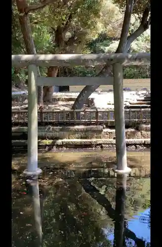大洗磯前神社の{uncategorized: "未分類", other: "その他", undefined: "問題あり", building: "その他建物", grave: "お墓", sacred_gate: "鳥居", guardian: "狛犬", statue: "像", buddha: "仏像", history: "歴史", nature: "自然", garden: "庭園", animal: "動物", pagoda: "塔", temizu: "手水舎", mountain_gate: "山門・神門", sanctuary: "本殿・本堂", subordinate: "末社・摂社", art: "芸術", scenery: "景色", jizo: "地蔵", ema: "絵馬", goshuin: "御朱印", omikuji: "おみくじ", items: "授与品その他", amulet: "お守り", goshuincho: "御朱印帳", eats: "食事", festival: "お祭り", votive_dance: "神楽", shichigosan: "七五三参", wedding: "結婚式", experience: "体験その他", initially: "初詣", around: "周辺", anti_infection: "感染症対策"}