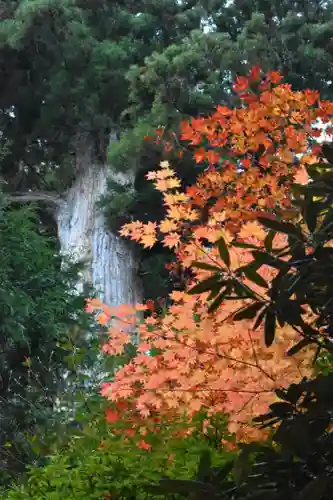 榛名神社の景色