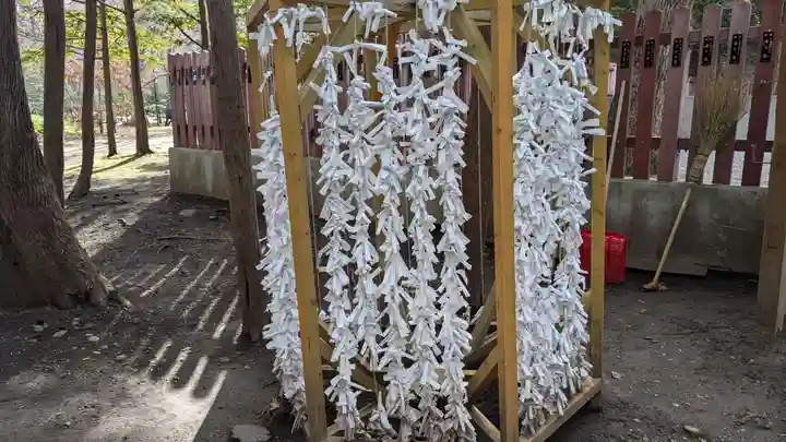 開拓神社のおみくじ