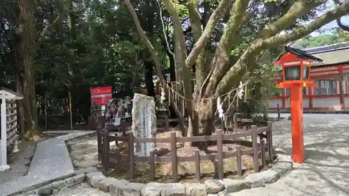 賀茂御祖神社（下鴨神社）(京都府)