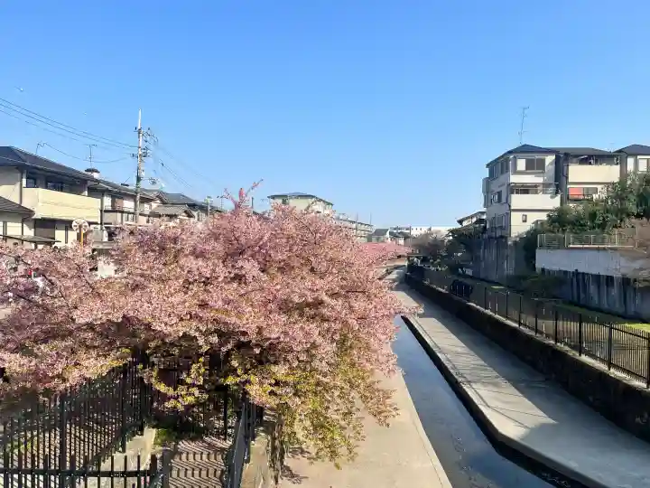 稲葉神社の{uncategorized: "未分類", other: "その他", undefined: "問題あり", building: "その他建物", grave: "お墓", sacred_gate: "鳥居", guardian: "狛犬", statue: "像", buddha: "仏像", history: "歴史", nature: "自然", garden: "庭園", animal: "動物", pagoda: "塔", temizu: "手水舎", mountain_gate: "山門・神門", sanctuary: "本殿・本堂", subordinate: "末社・摂社", art: "芸術", scenery: "景色", jizo: "地蔵", ema: "絵馬", goshuin: "御朱印", omikuji: "おみくじ", items: "授与品その他", amulet: "お守り", goshuincho: "御朱印帳", eats: "食事", festival: "お祭り", votive_dance: "神楽", shichigosan: "七五三参", wedding: "結婚式", experience: "体験その他", initially: "初詣", around: "周辺", anti_infection: "感染症対策"}