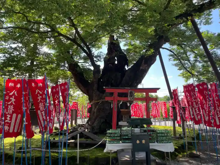 秩父今宮神社の{uncategorized: "未分類", other: "その他", undefined: "問題あり", building: "その他建物", grave: "お墓", sacred_gate: "鳥居", guardian: "狛犬", statue: "像", buddha: "仏像", history: "歴史", nature: "自然", garden: "庭園", animal: "動物", pagoda: "塔", temizu: "手水舎", mountain_gate: "山門・神門", sanctuary: "本殿・本堂", subordinate: "末社・摂社", art: "芸術", scenery: "景色", jizo: "地蔵", ema: "絵馬", goshuin: "御朱印", omikuji: "おみくじ", items: "授与品その他", amulet: "お守り", goshuincho: "御朱印帳", eats: "食事", festival: "お祭り", votive_dance: "神楽", shichigosan: "七五三参", wedding: "結婚式", experience: "体験その他", initially: "初詣", around: "周辺", anti_infection: "感染症対策"}