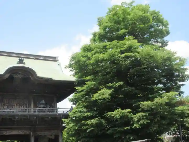 稱名寺(神奈川県)