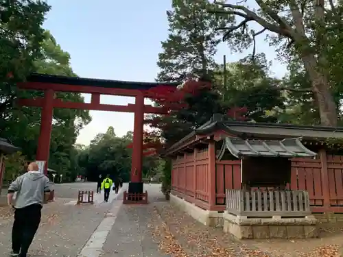 武蔵一宮氷川神社の鳥居