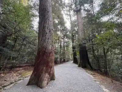 瀧原宮(皇大神宮別宮)(三重県)