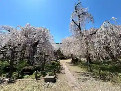 安養寺(長野県)