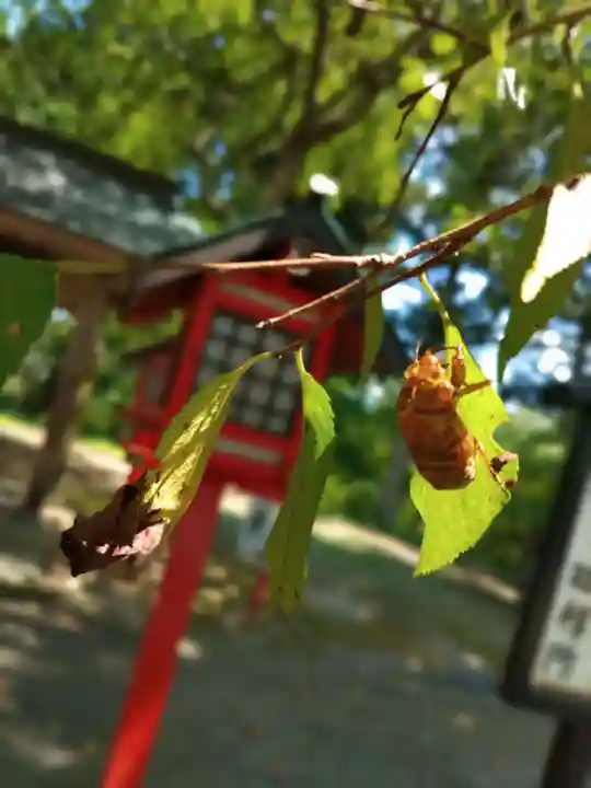正一位 若草稲荷神社(宮城県)
