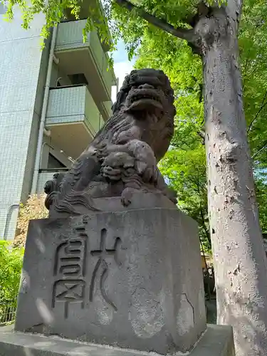 田無神社の狛犬