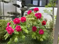 梅香寺(三重県)