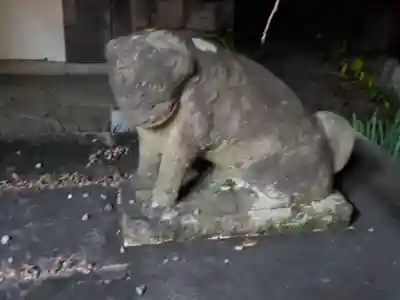 安井金比羅宮の狛犬